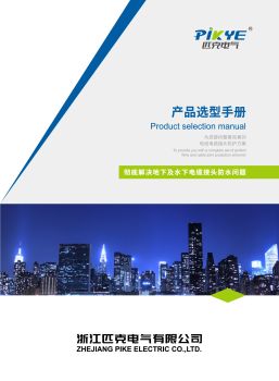 浙江匹克电气有限公司