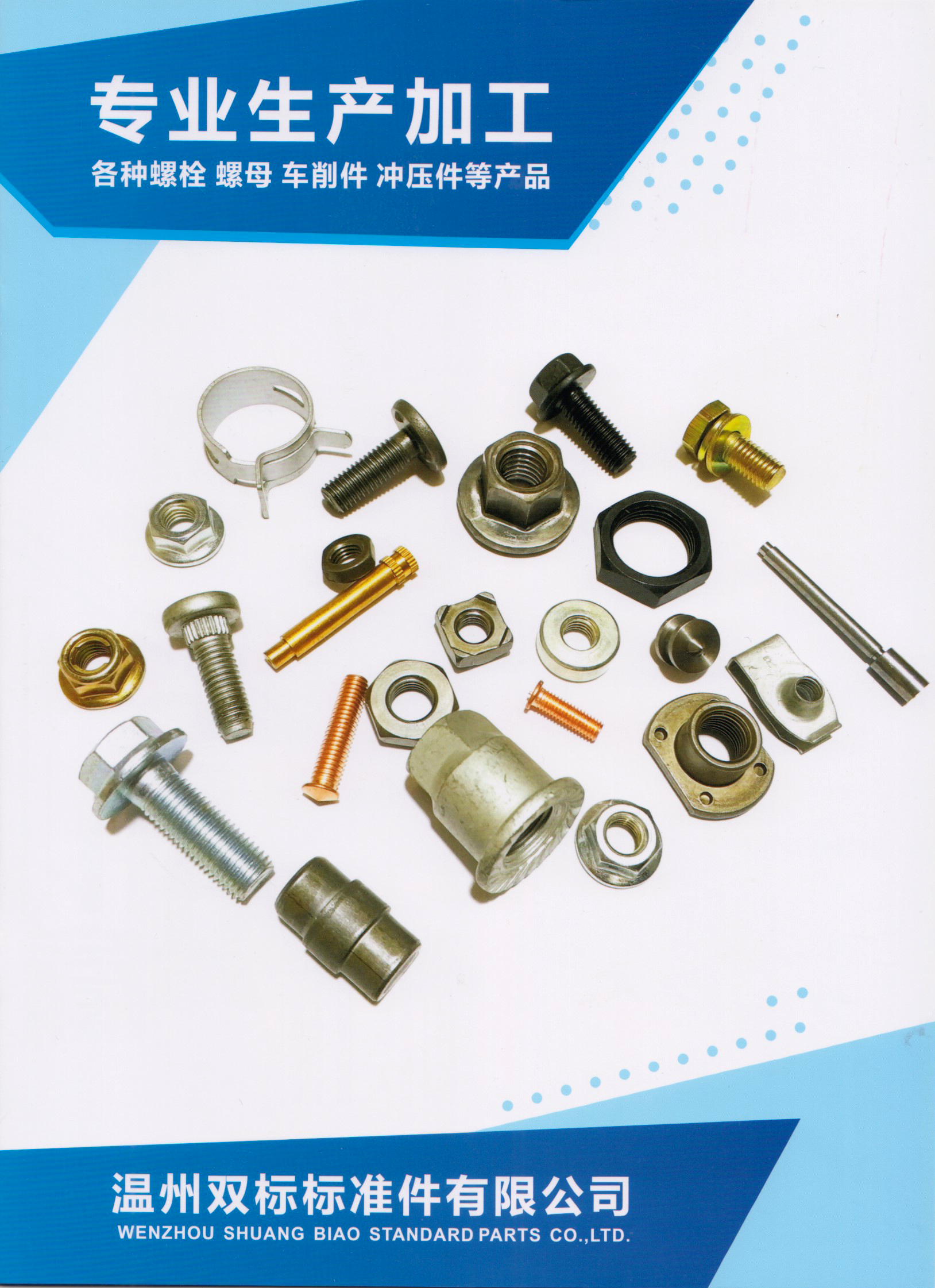 温州双标标准件有限公司