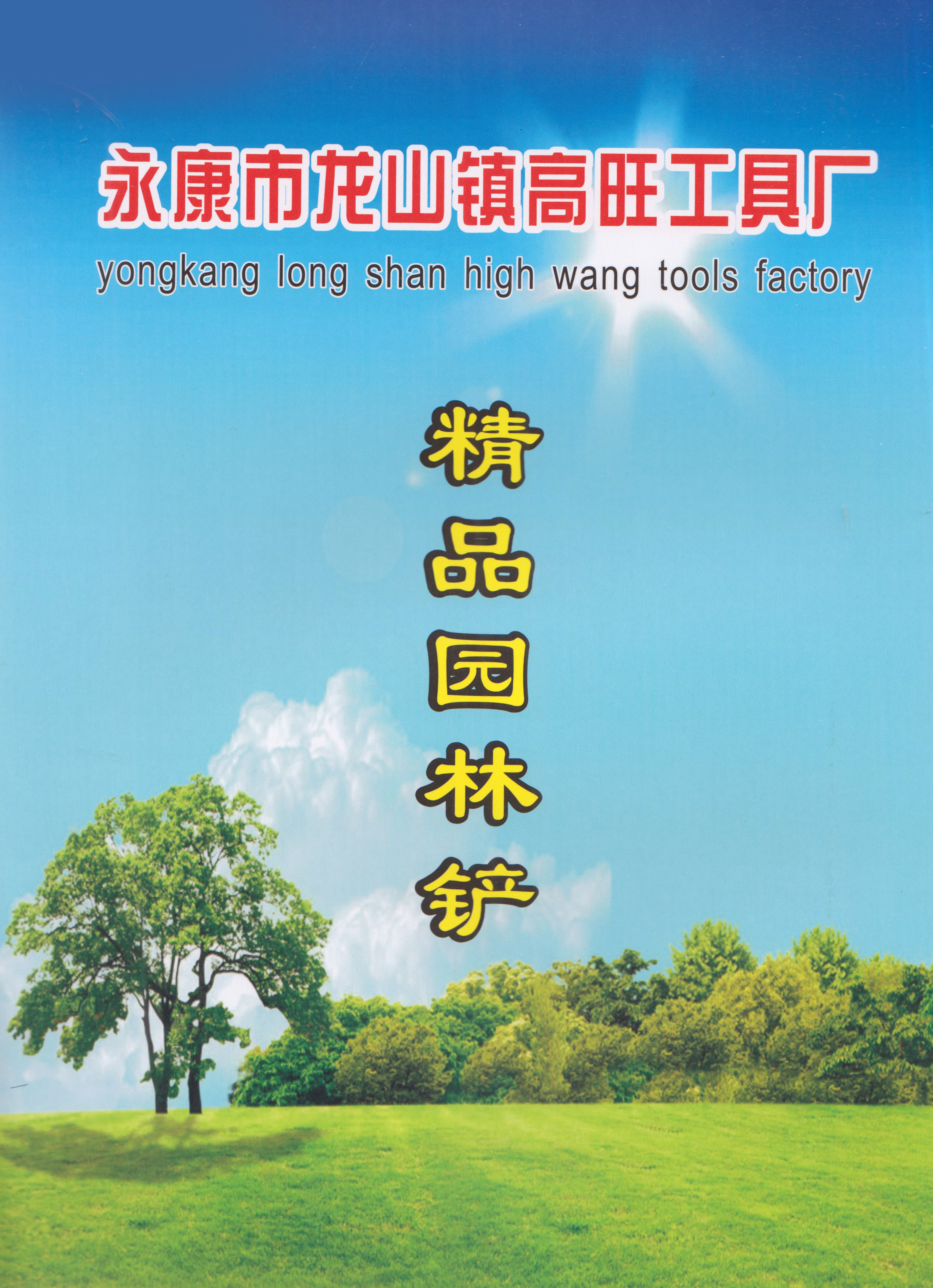 永康市龙山镇高旺工具厂