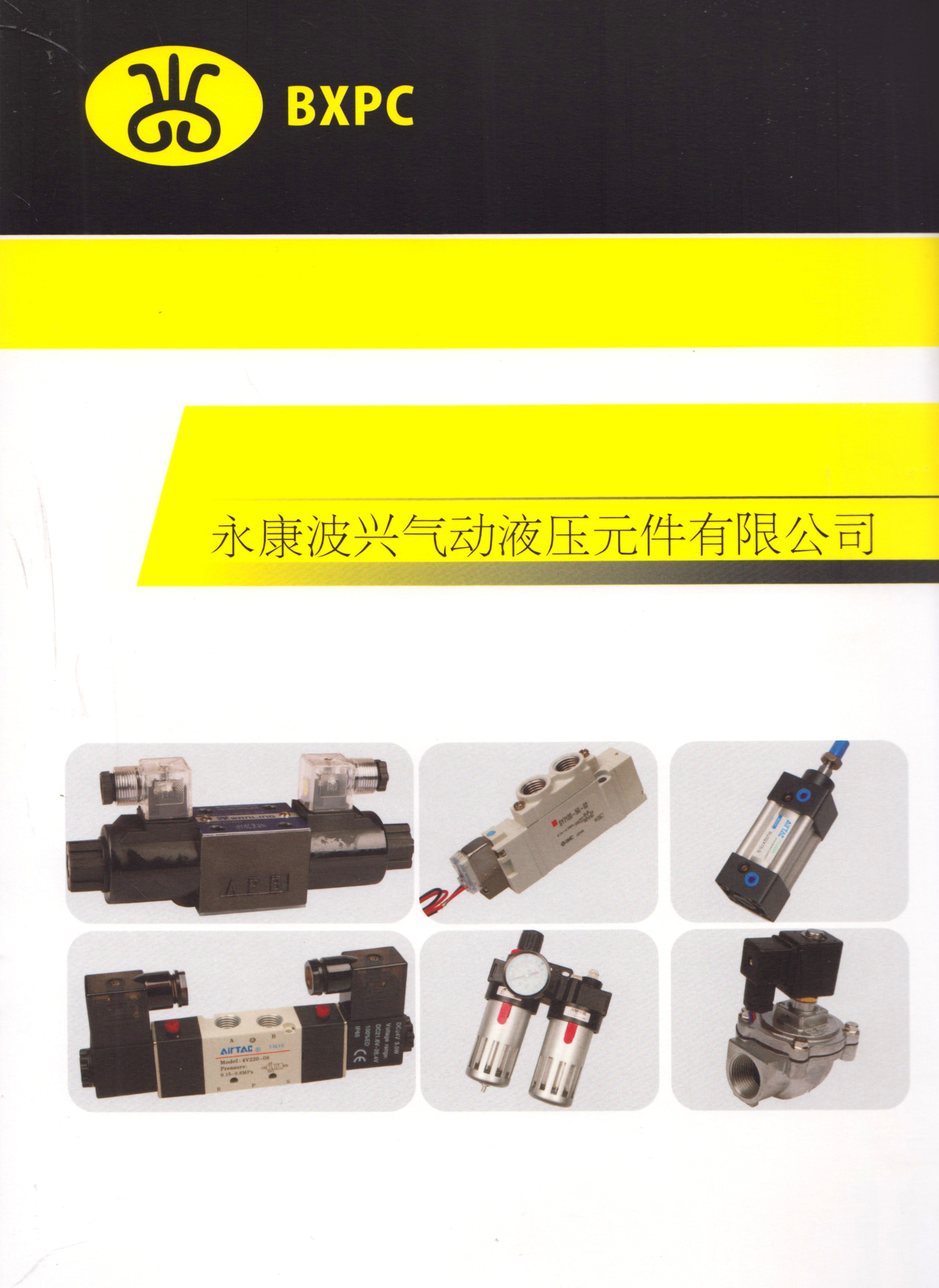 永康波兴气动液压元件公司